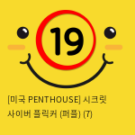 [미국 PENTHOUSE] 시크릿 사이버 플릭커 (퍼플) (7)