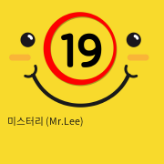 미스터리 (Mr.Lee)