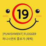 [PUNISHMENT] FLOGGER 퍼니시먼트 플로거 (채찍)