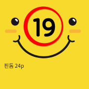 핀돔 24p